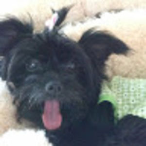 Meet your Posher, Lucy